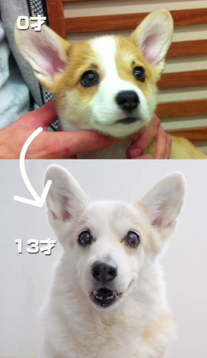 これだけ変わったよ！