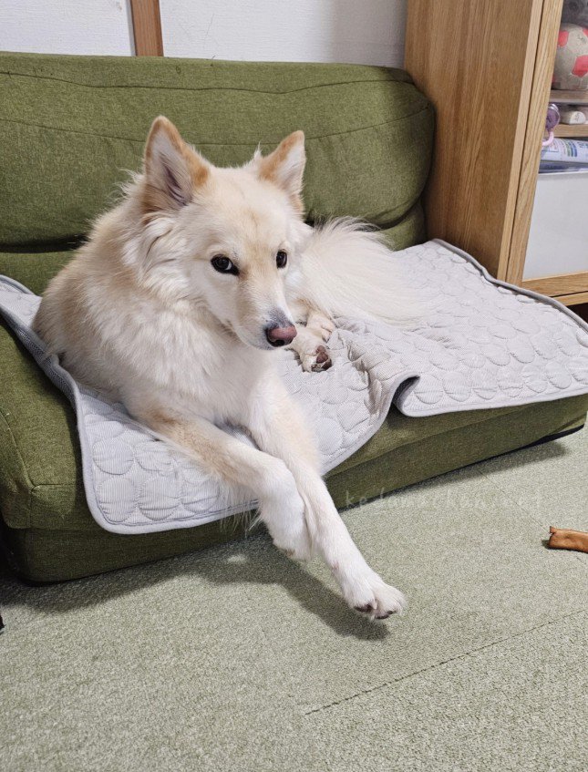 つるちゃんの日常2