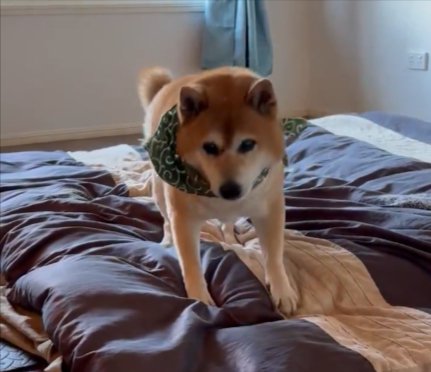 習慣