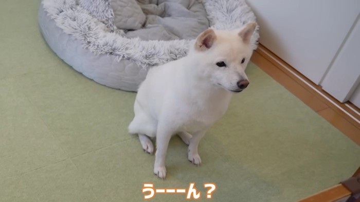 「うーん」