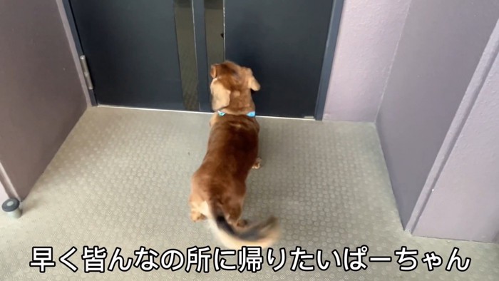 みんなの反応は…?