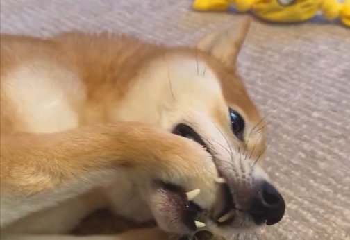 口を