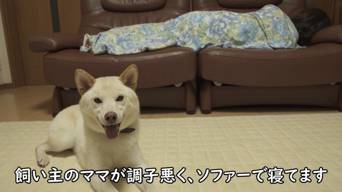 遊んだ後、ママさんの不調を伝えたら…
