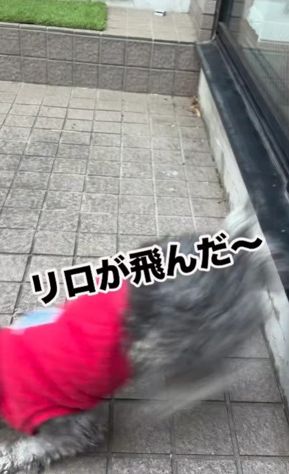 勇気を出してジャンプ！