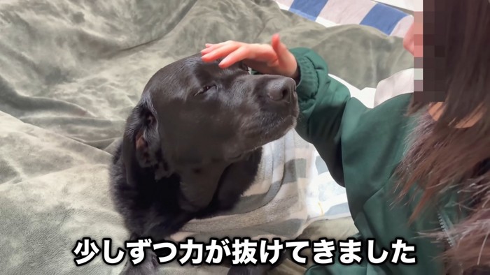だんだん慣れてきて、うっとり…♡