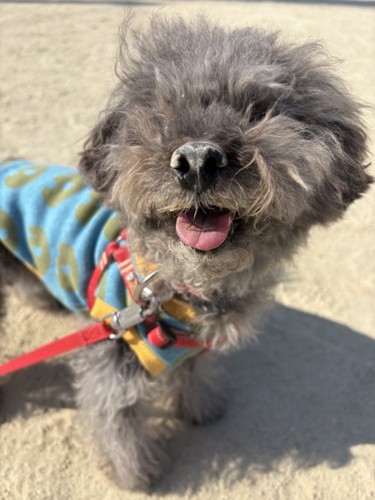 満足顔のエマちゃん