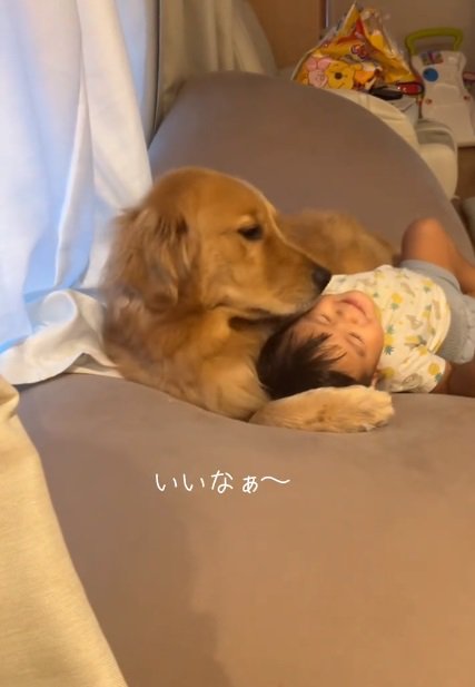 息子さんを支えるこむぎくん