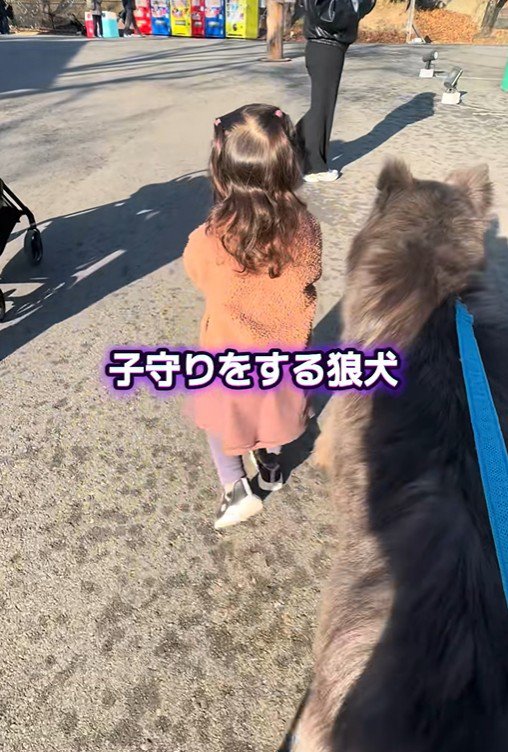 一緒にお散歩中