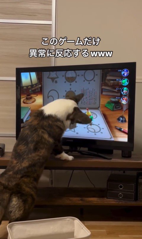 ゲームに興味津々のググくん8