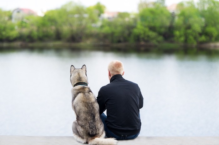 犬と飼い主