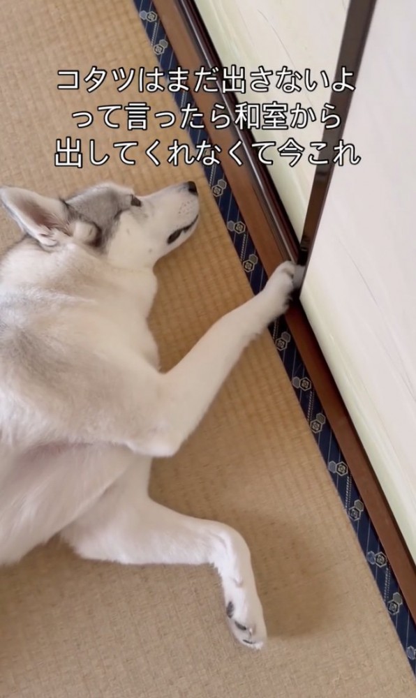 「はやく…コタツを」