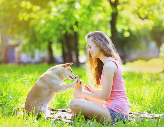 犬とハイタッチする女性