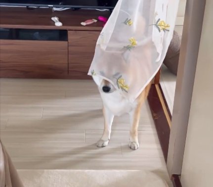 ジトッ…