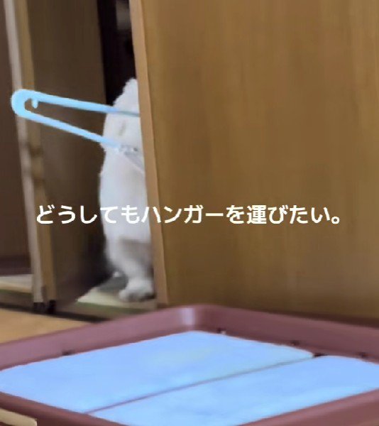 ハンガーを持って入りたい！！
