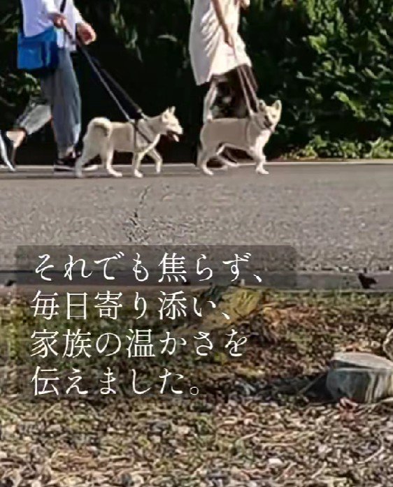 少しずつ心の距離を縮める