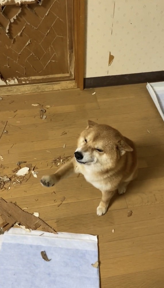 ドアのそばに座る犬