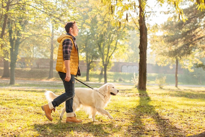 男性と歩く犬