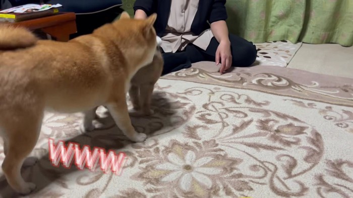 ワンプロに大爆笑！