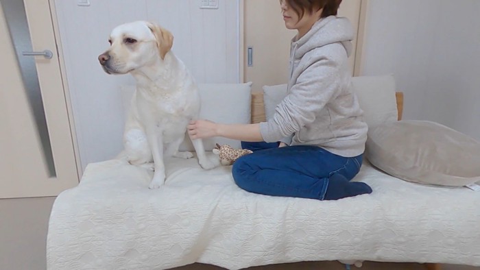 きなこちゃんとママさんの再会8