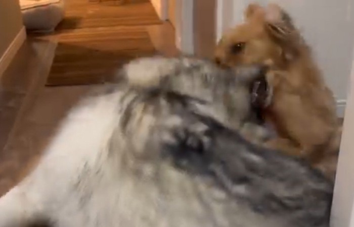 「息が!息ができない!!」