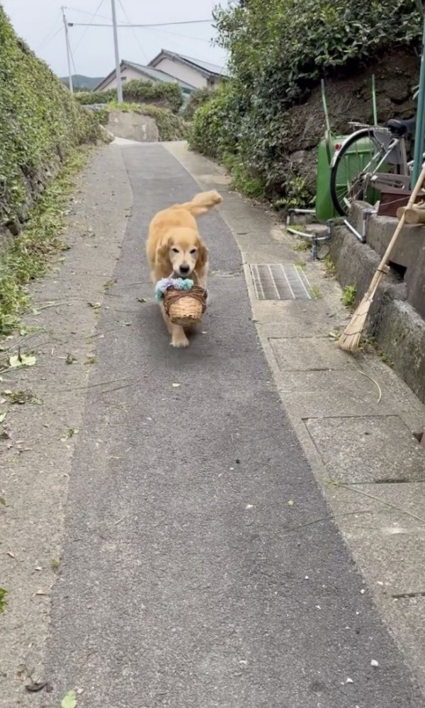 お利口さんすぎます