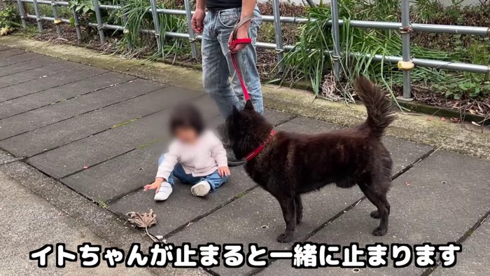 止まったら止まる…