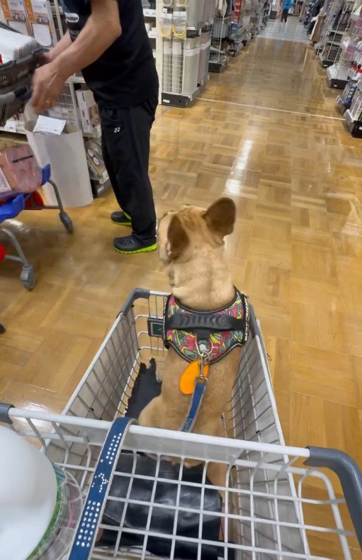 大人しくなりました♪