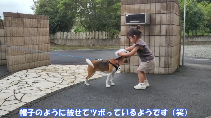 頭にボウルを被せて…