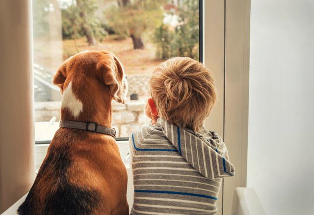 窓の外を見ている犬と子供