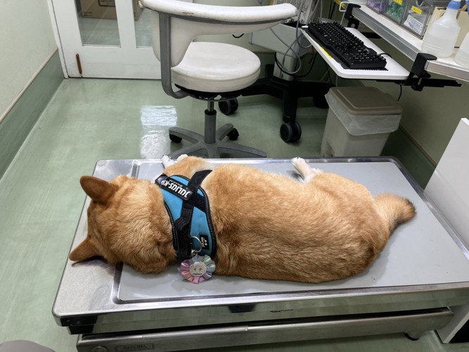 病院の