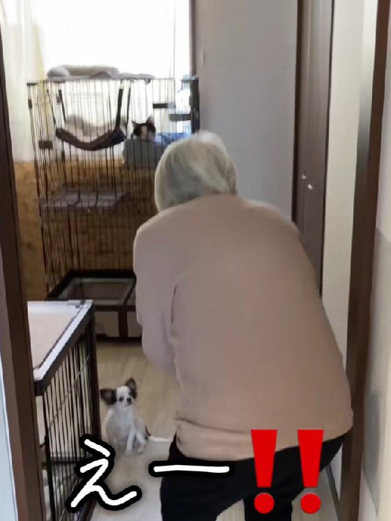 驚きを隠せないおばあちゃん♡