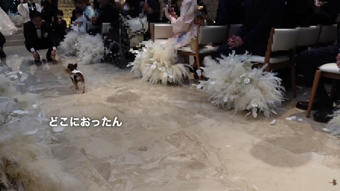 小走りでパパさんのもとへ♪