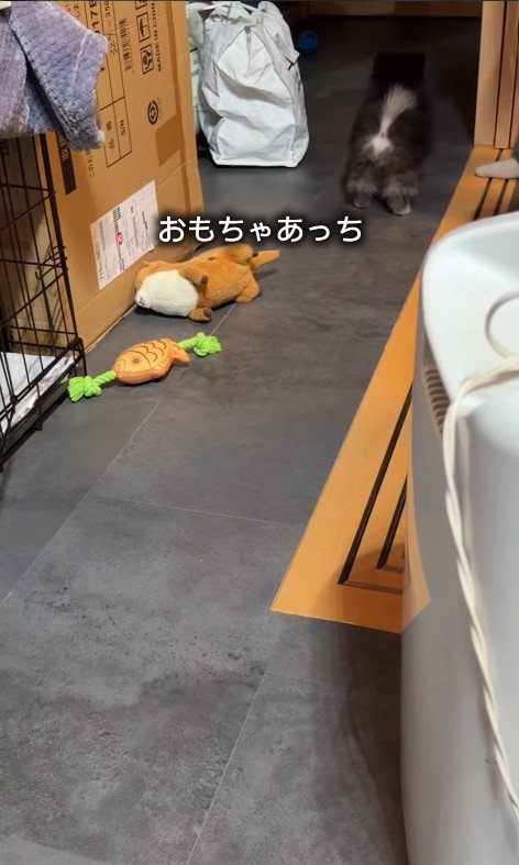 暗いところは怖くて行けない…