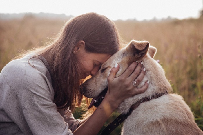 頭を寄せ合う人と犬