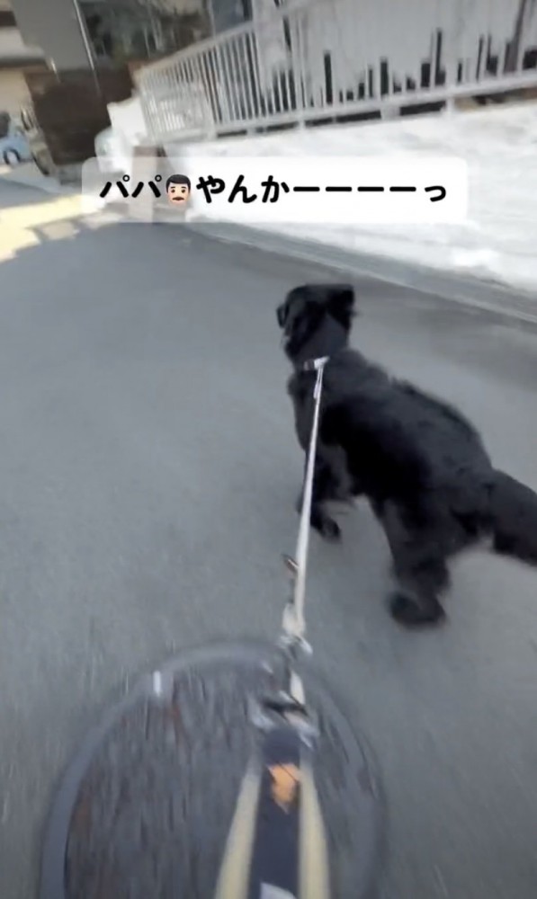 「なんでいるのーー！？」