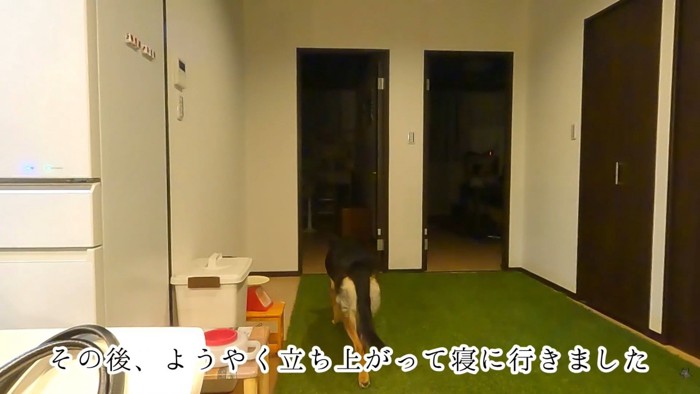 ようやく寝室へ移動