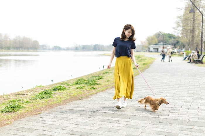 お散歩するダックスフンドと女性