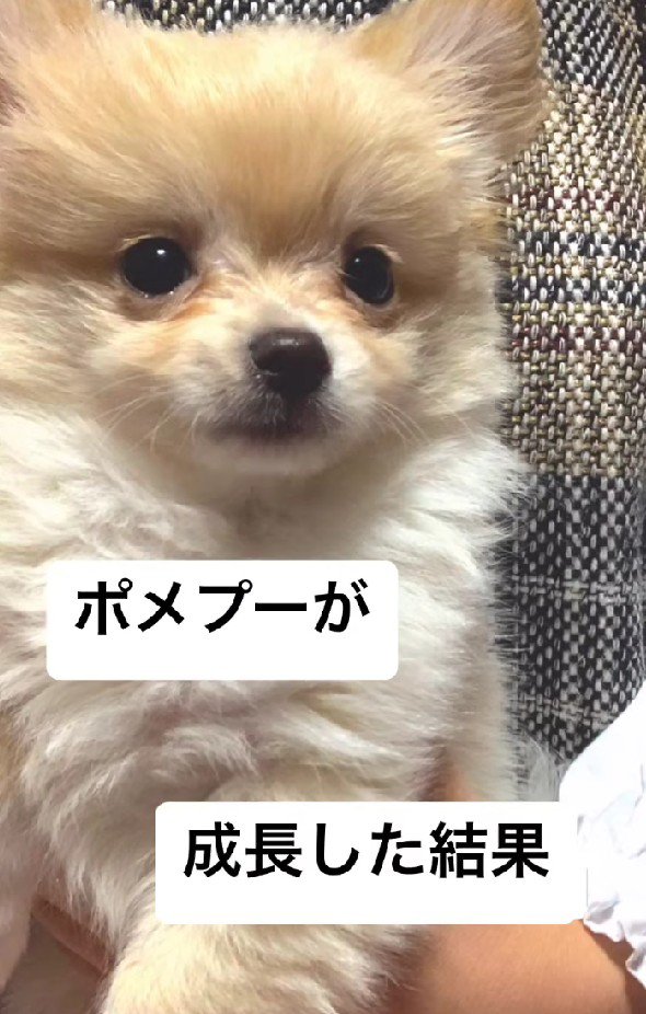 こんなに丸かったのに…