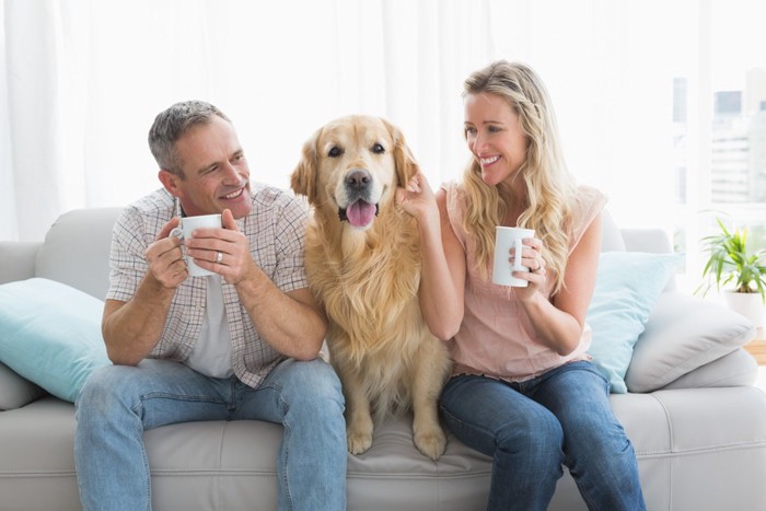 犬と夫婦