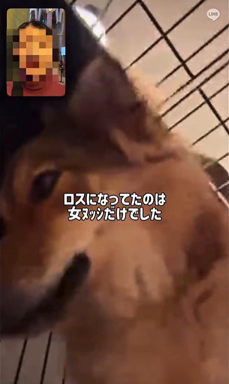 ママさん旅行中のラッキーくん⑩