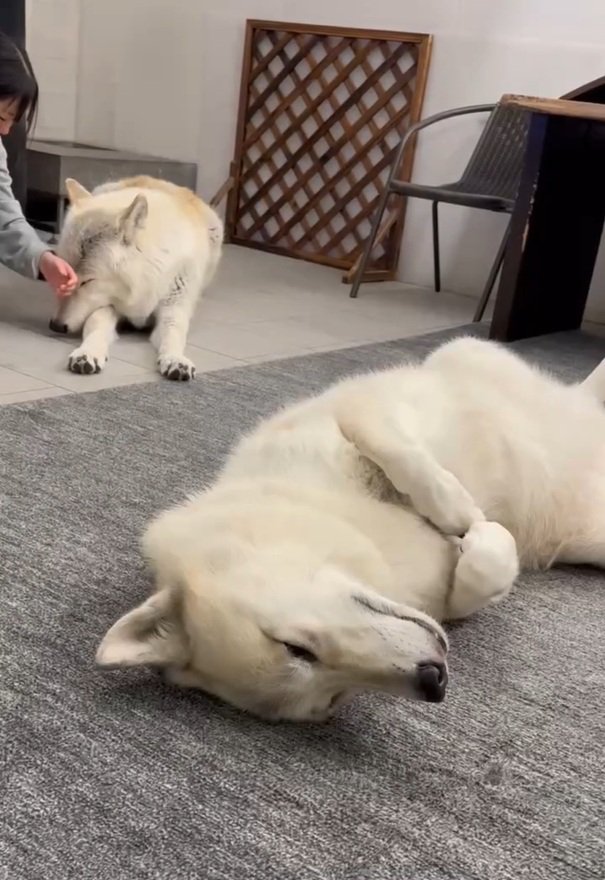 順番待ちをするナオちゃん