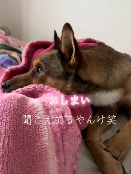 「おやつ」の声に反応！！