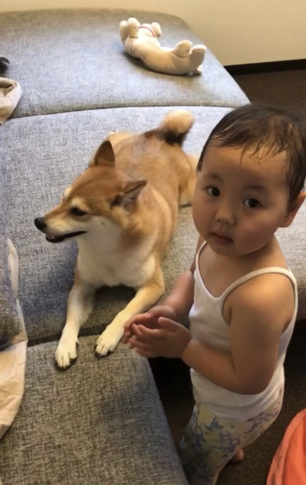 女の子と犬