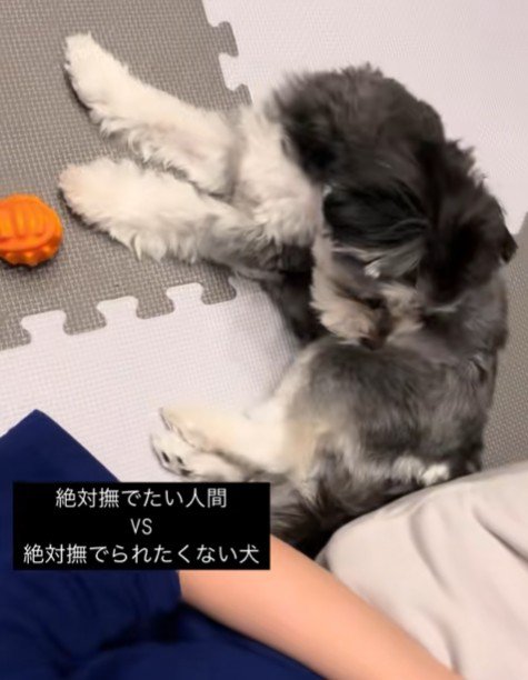 「やめて！」