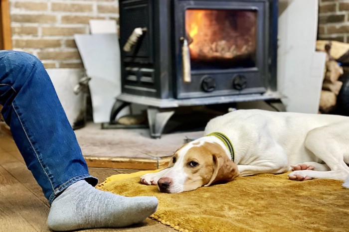 ストーブの前の犬