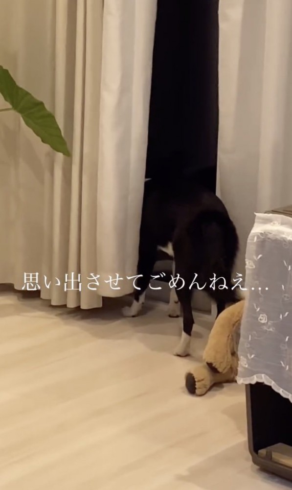 お父さんも寂しい