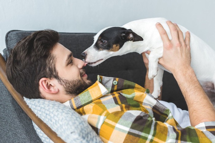 男の人の顔を舐める犬