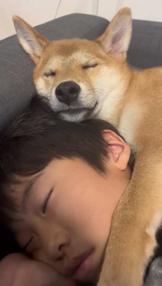 前足を添える犬