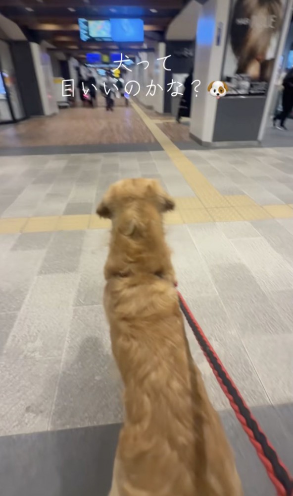 ライチくん、駅に到着