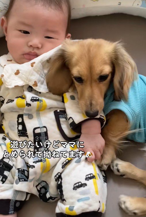 赤ちゃんと遊びたいサニーちゃん2